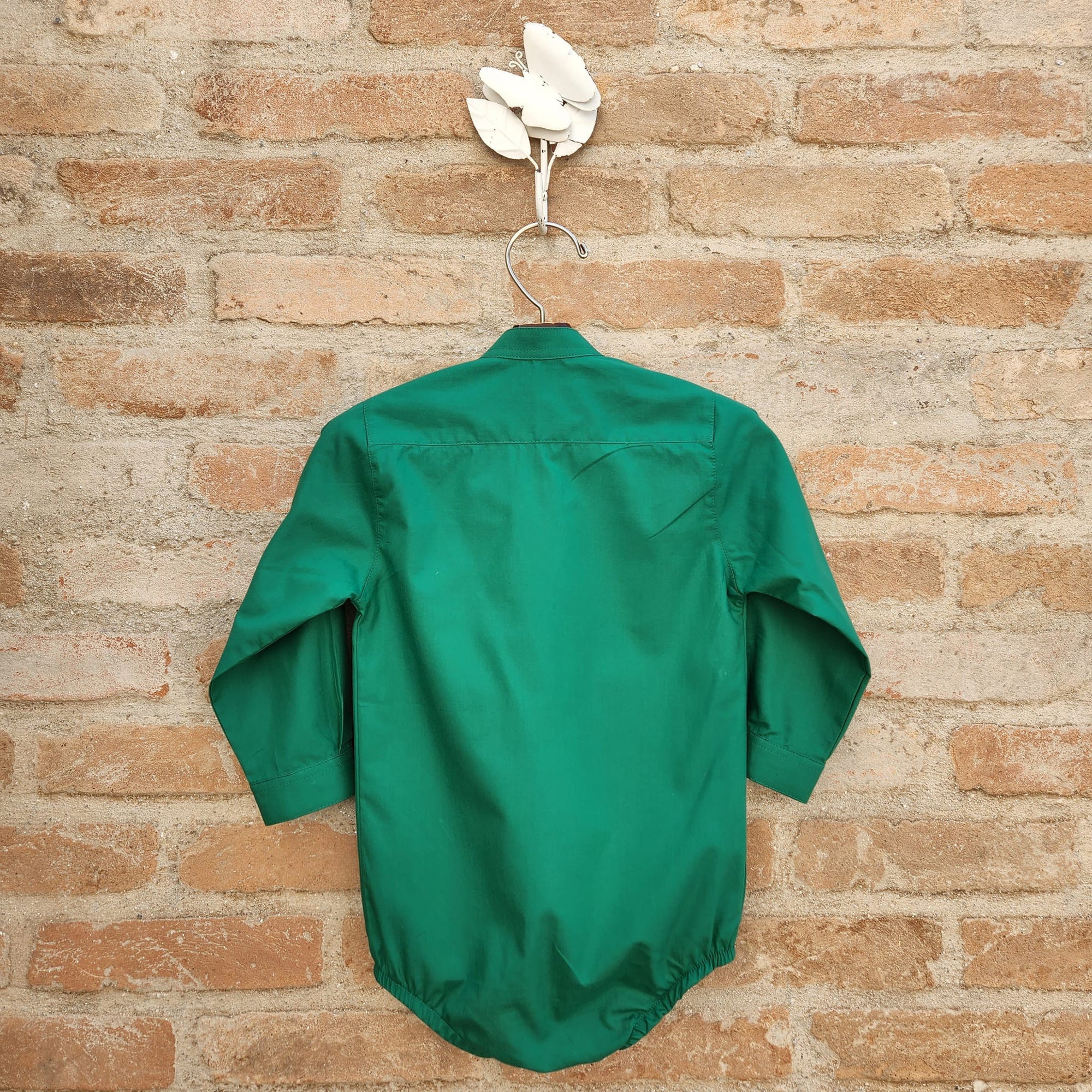 Camisa Body Lucca Verde - Vista geral das costas